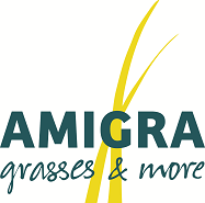 Amigra grasses & more