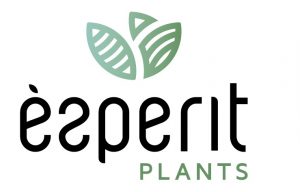Esperit Plants