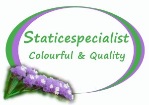 staticespecialist
