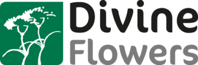 divine-flowers